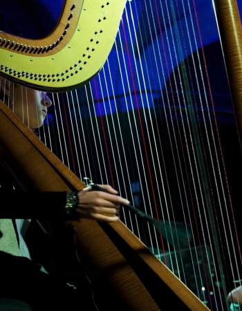 Capture d’écran 2026-02-16 à 21.32.32