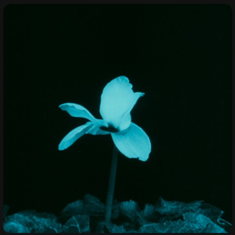 Capture d’écran 2026-02-17 à 21.59.05